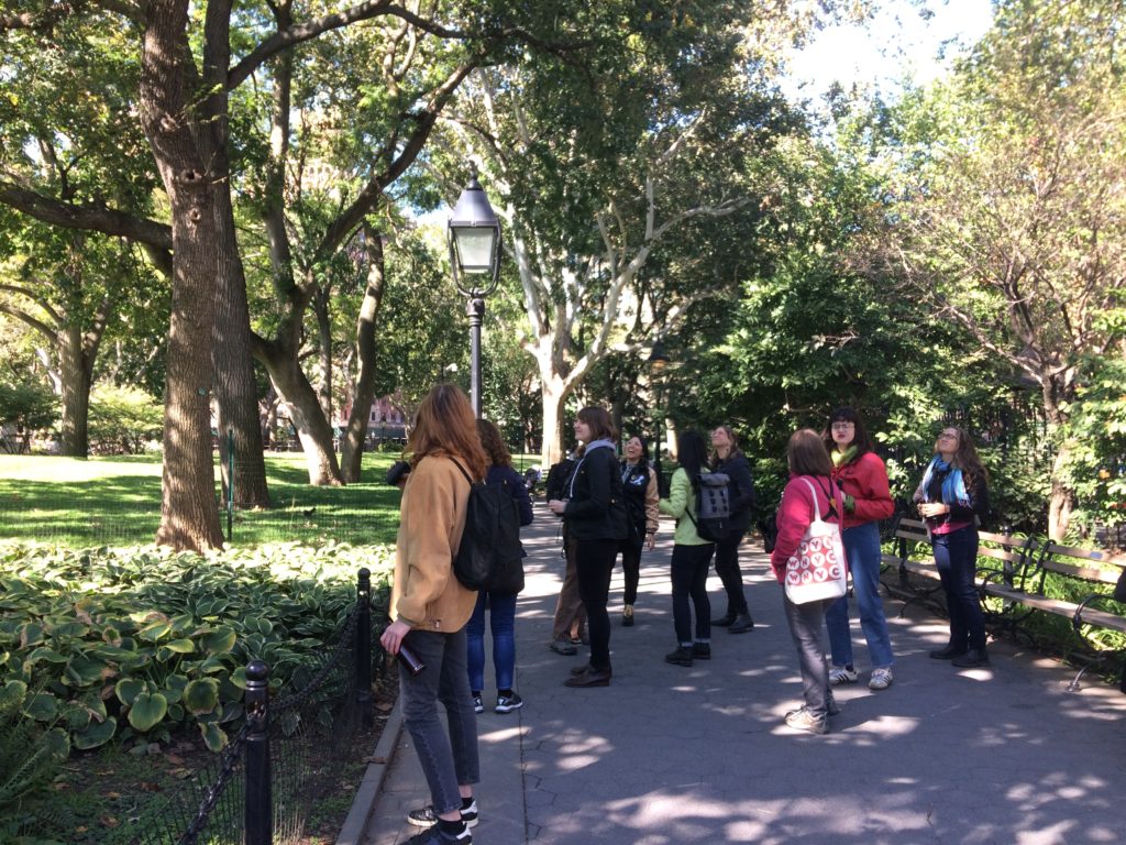 Feminist Bird Club + Eco Projects walk in Washington Square Park, Oct 5, 2019