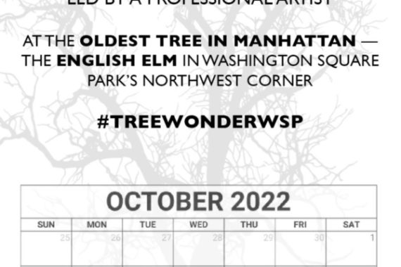 Calendar of Sundays in October 2022 for Tree Wonder drawing sessions.