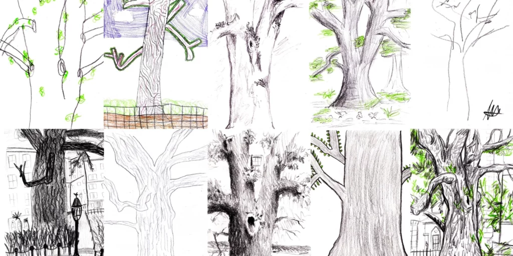 10 drawings of the English Elm in Washington Square Park