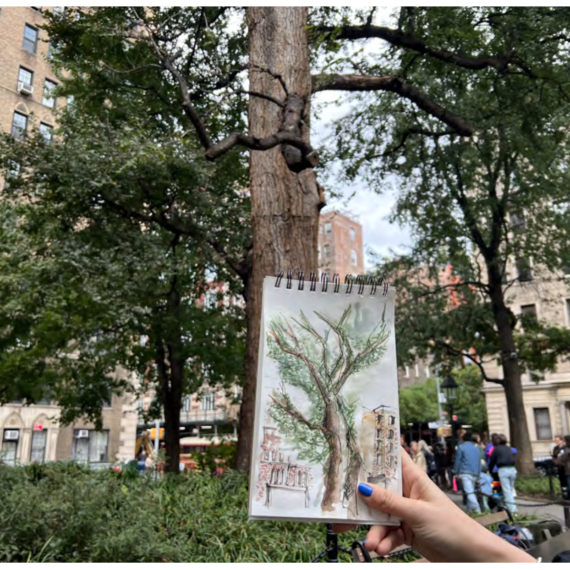 A person's right hand with blue nail polish on the thumb holding of a watercolor drawing of the English Elm in Washington Square Park with the English Elm in the background.