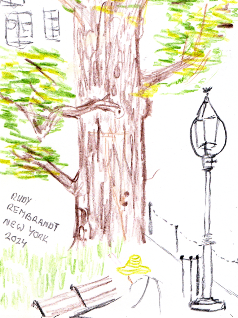 Colored pencil drawing of the English Elm in Washington Square Park.